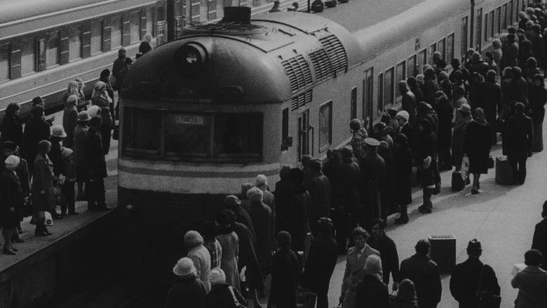 Gallery image from AoKvhXR9yCl6NosVVKaYFZCtSmv.jpg