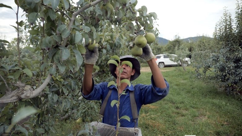 Gallery image from AoaY5kWpnlpNldaUDGsHwiMNGUi.jpg