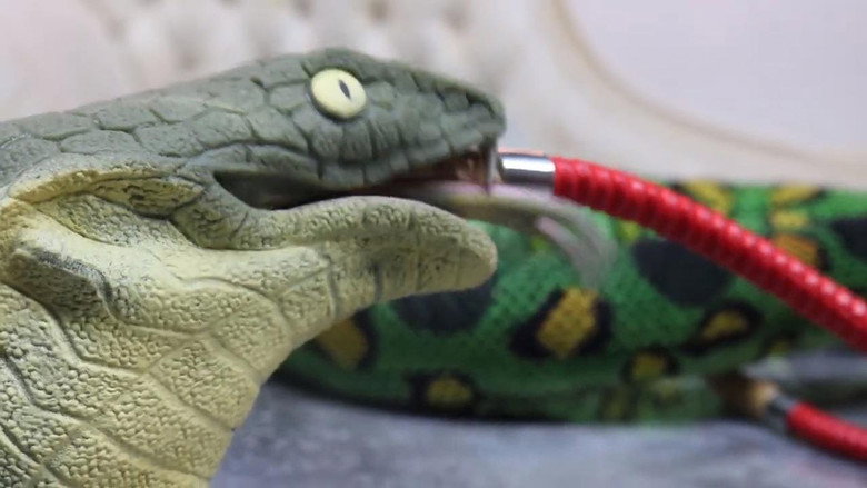 Stoner Snakes — scene 1