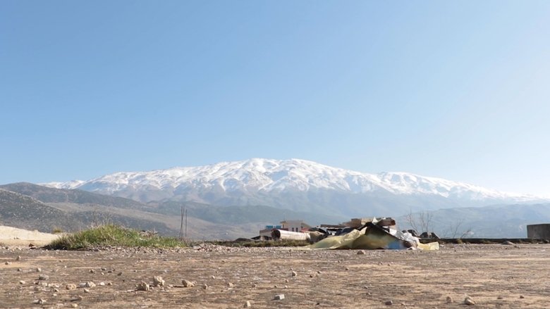 Gallery image from Ap1qEz6StadN0vh2McBxIVsOPJ2.jpg