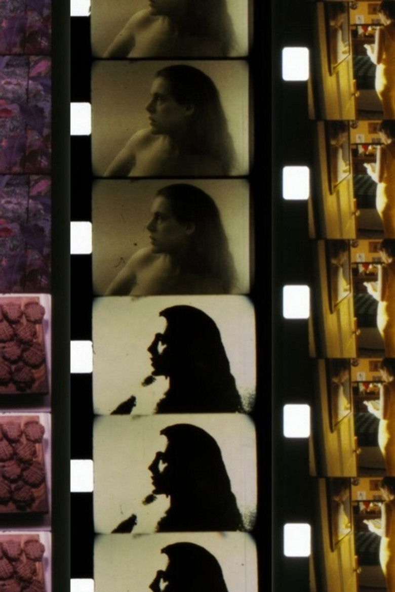 Imatge de Five-Year Diary