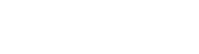 The Big Wedding