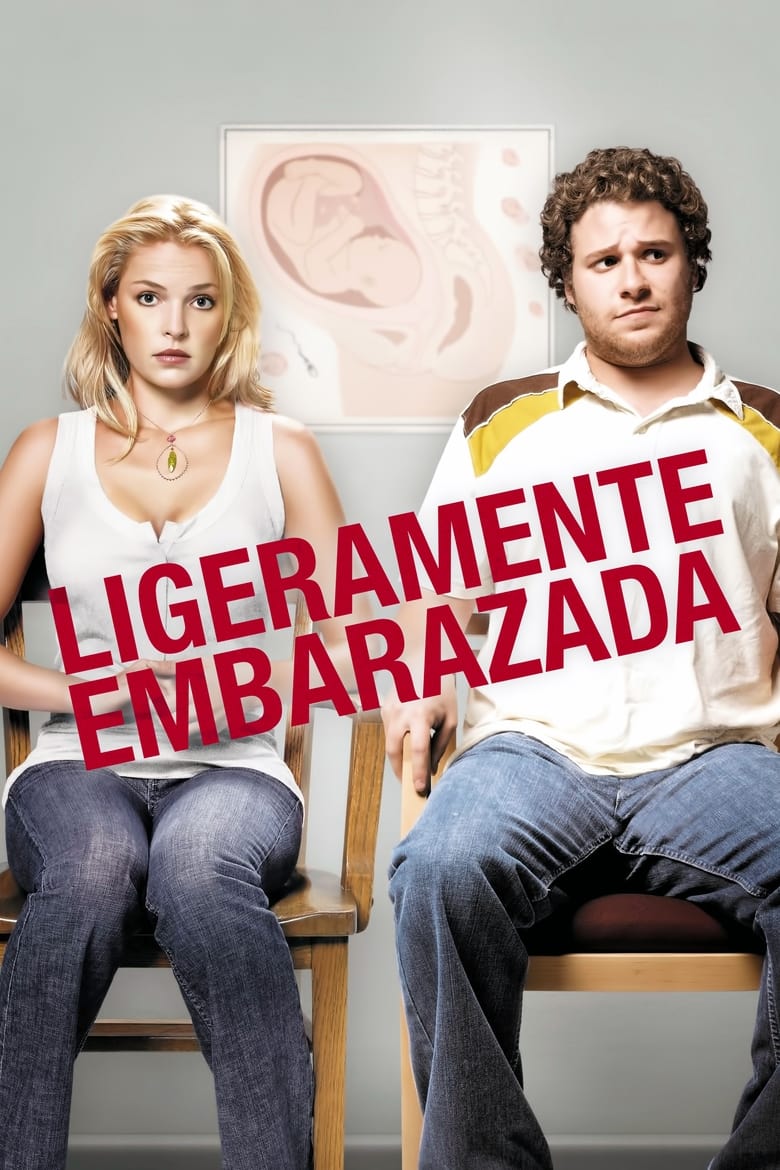 Lío embarazoso (2007)