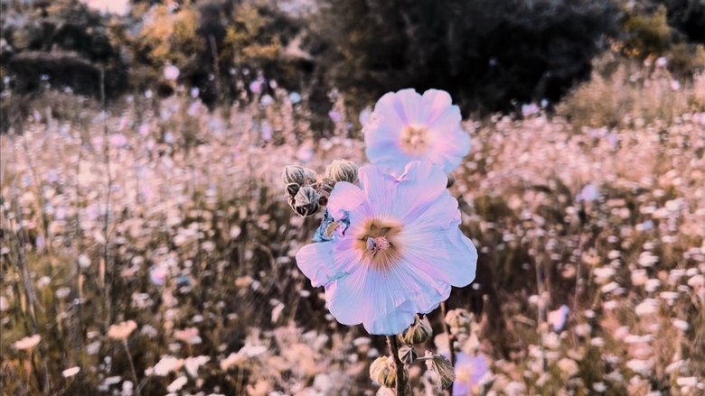 Gallery image from ArLdQK8jNIAaoOoEwvYhmhzf62R.jpg