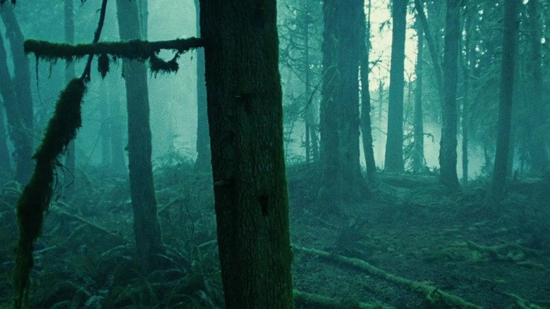 scenes 156