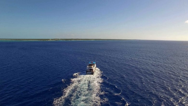 Still image for Cooper's Treasure season 1 episode 4: Dangerous Waters Still image for Cooper's Treasure season 1 episode 4: Dangerous Waters