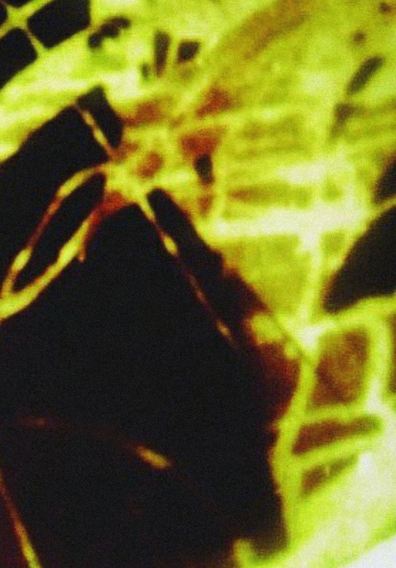 Imatge de All That Rises