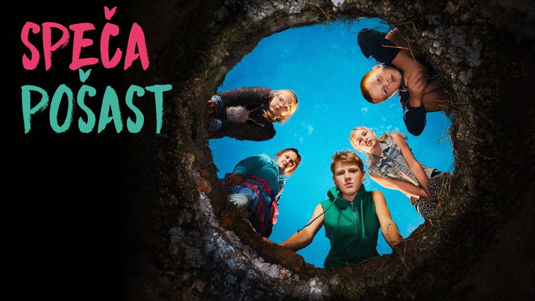 Gallery image from Aw441Xay6LGi9OJadrpaPaycIWT.jpg