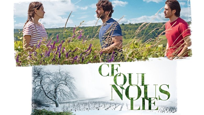 Ce qui nous lie (2017)