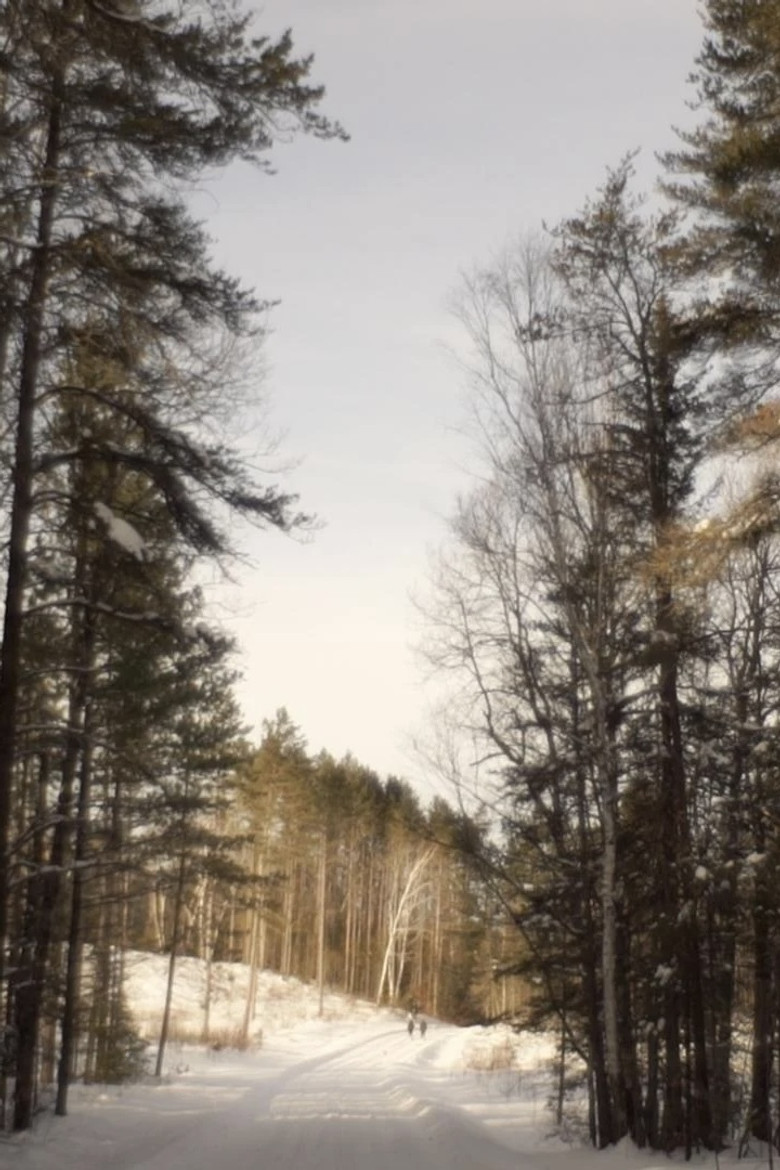 A Sad Story About a Tree background
