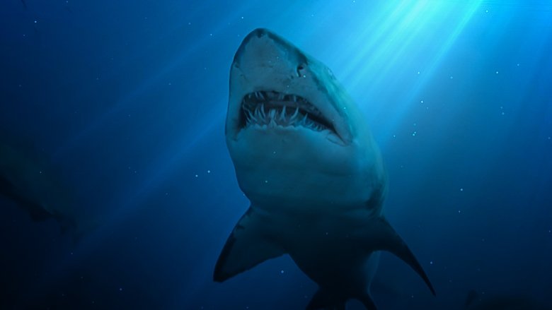 United Sharks of America (2015)