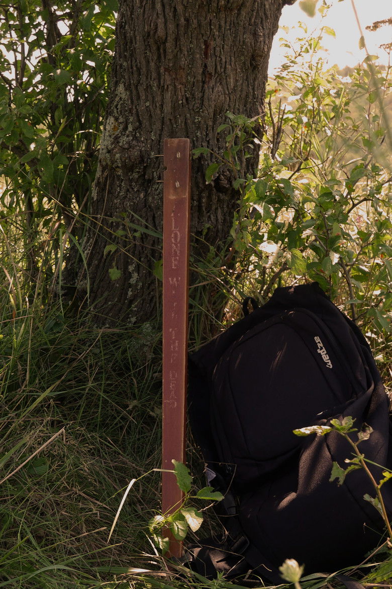 Imatge de Alone with the Dead