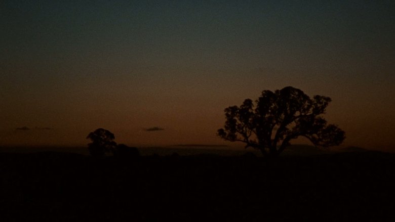 Lake Mungo (2009)