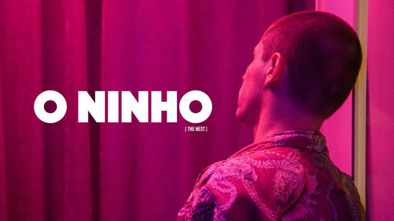 O+Ninho