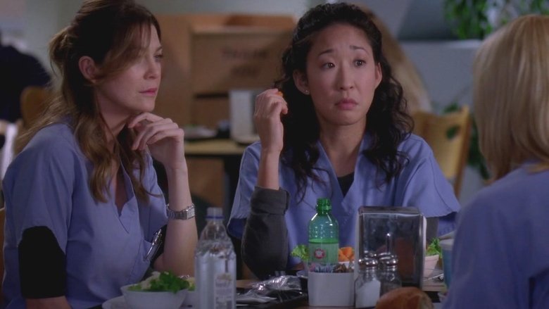 Grey's Anatomy Season 5 Episode 17 Putlocker