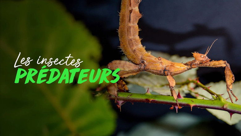 Ek1tixtvaahhdw46wgw4ydecee