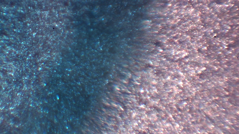 Gallery image from FaR580iYAJBitTiep9snIY3ThO.jpg