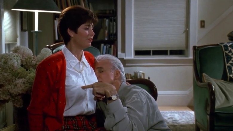 Housesitter (1992)