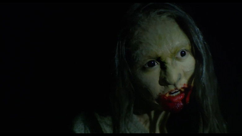 Backdrop de 実録！恐怖の村 シリーズ