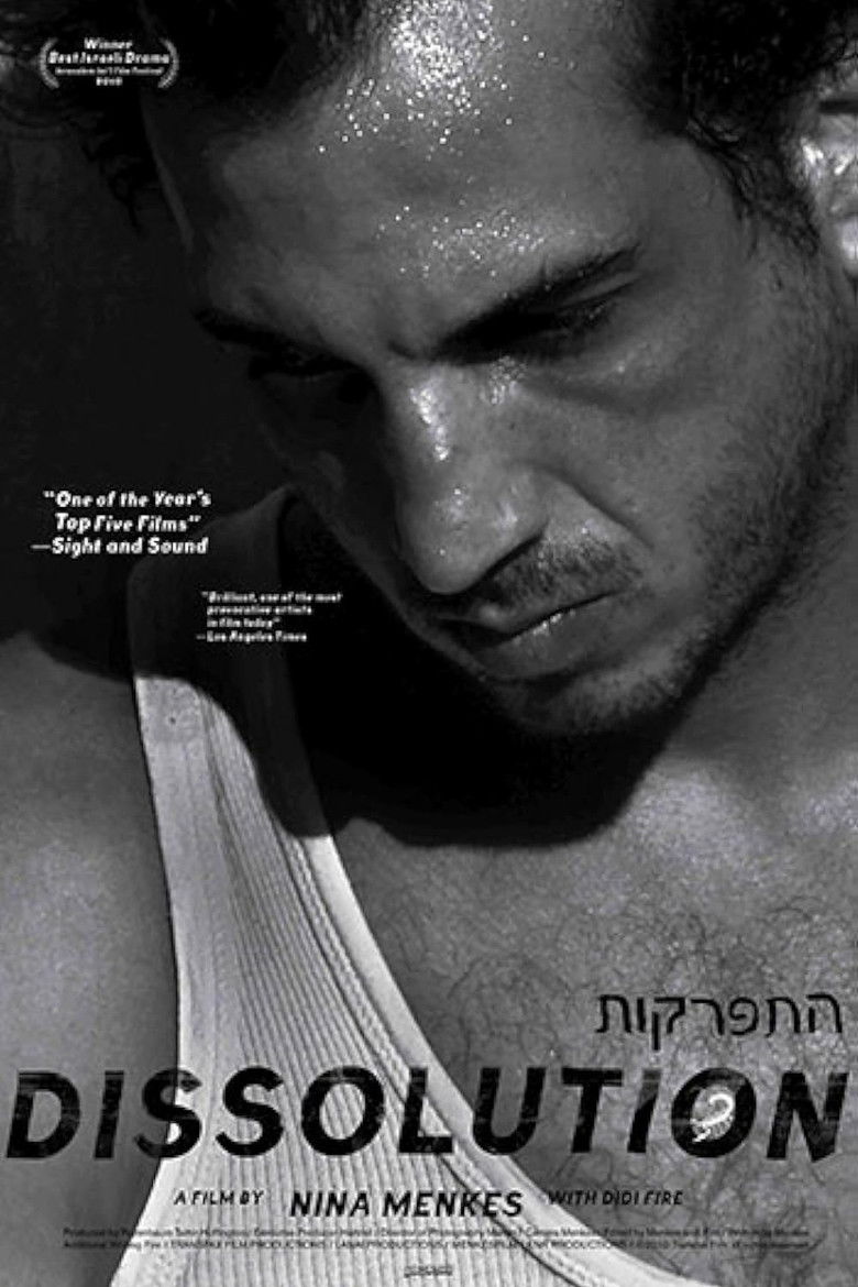 Imatge de Dissolution