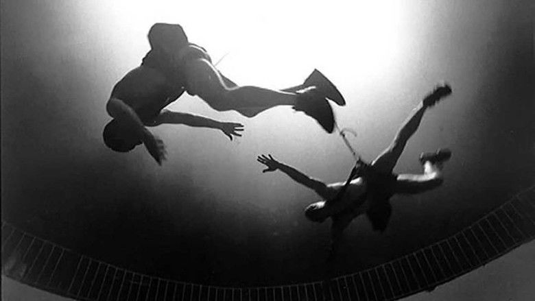 Imatge de La organización negra (Ejercicio Documental)