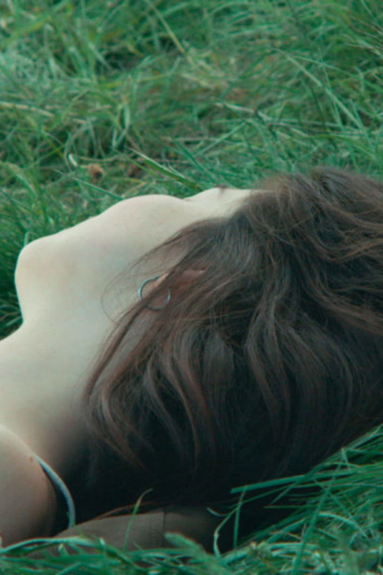 Imatge de Les Fleurs blanches et la lune