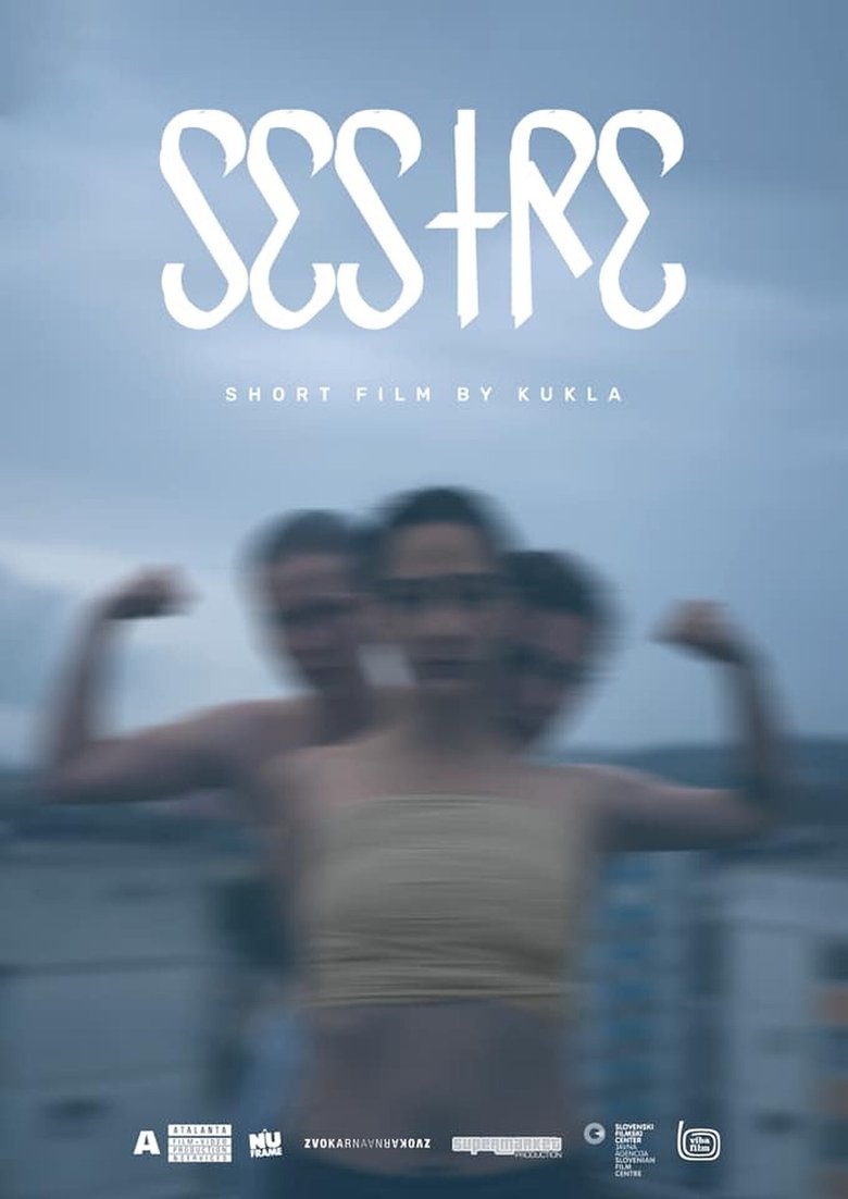 Sisters main poster