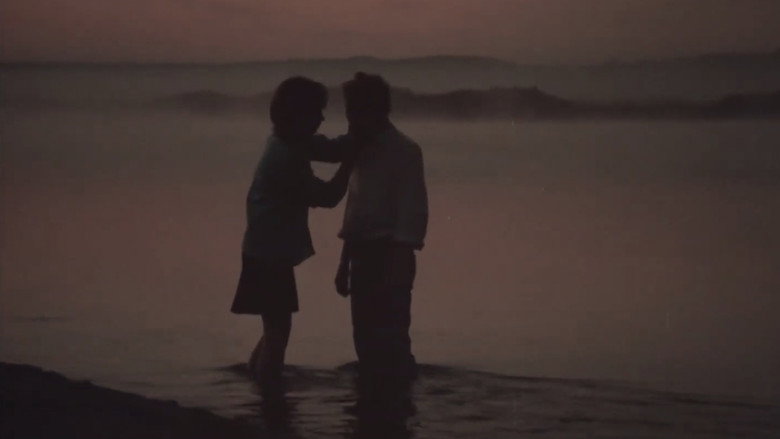 I No Longer Remember Your Face (1988)