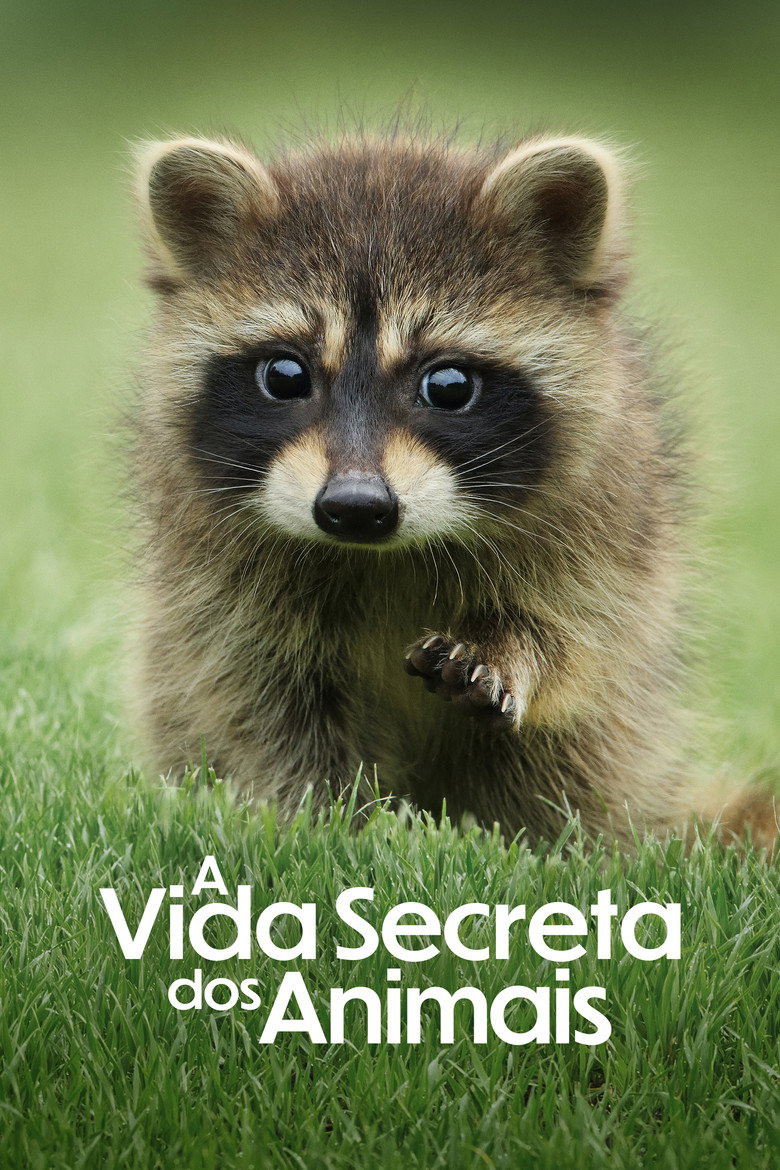 Póster la Serie