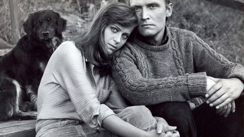Frame from Nakts bez putniem