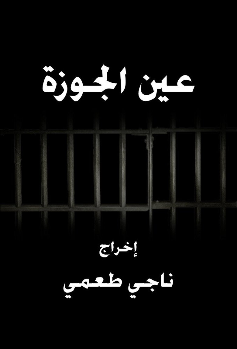 Ain El Jawze