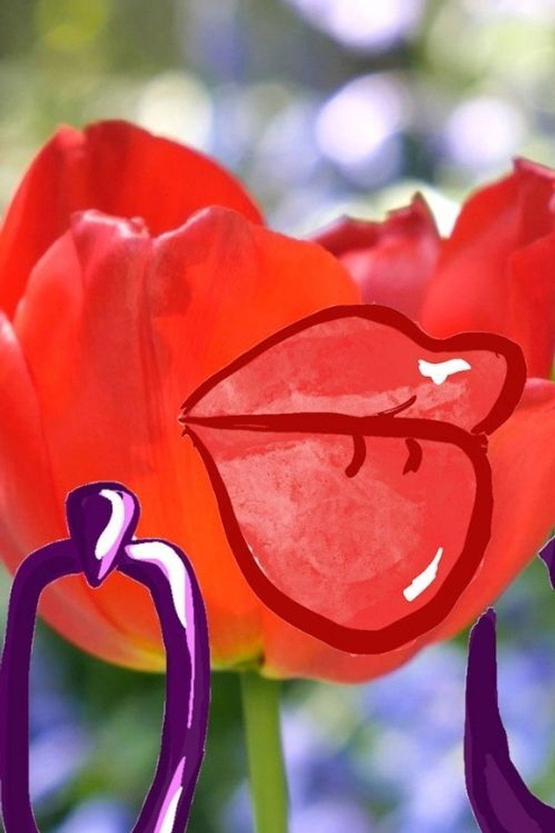 Imatge de Girls' Night