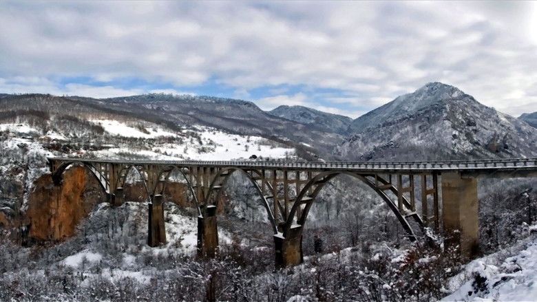 Backdrop de Navarone Collection