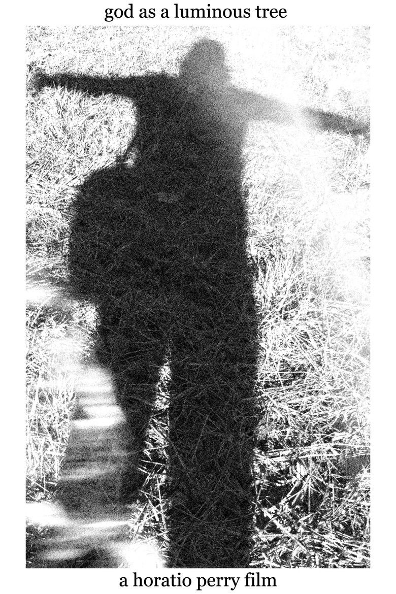 Imatge de Falling Star