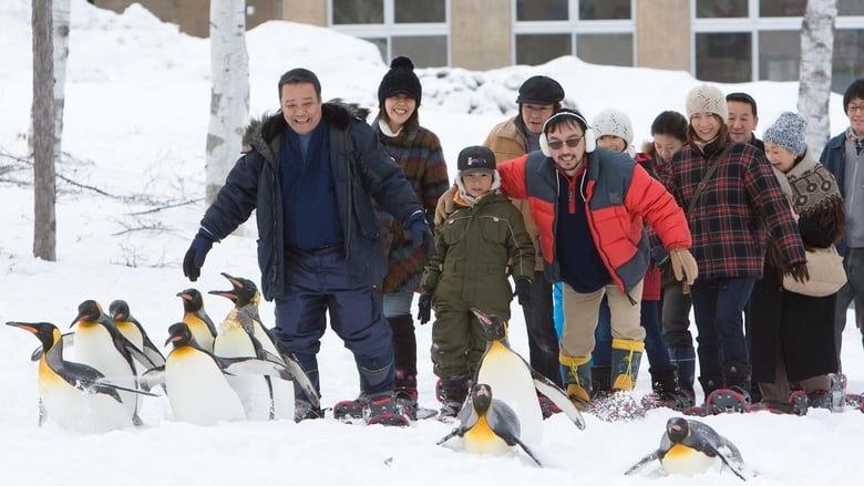 Penguins in the sky - Asahiyama zoo