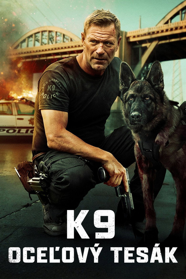 Film poster