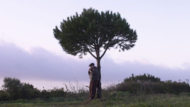 Gallery image from NQHvrFzGqK06HDQctUBj12tE1W.jpg