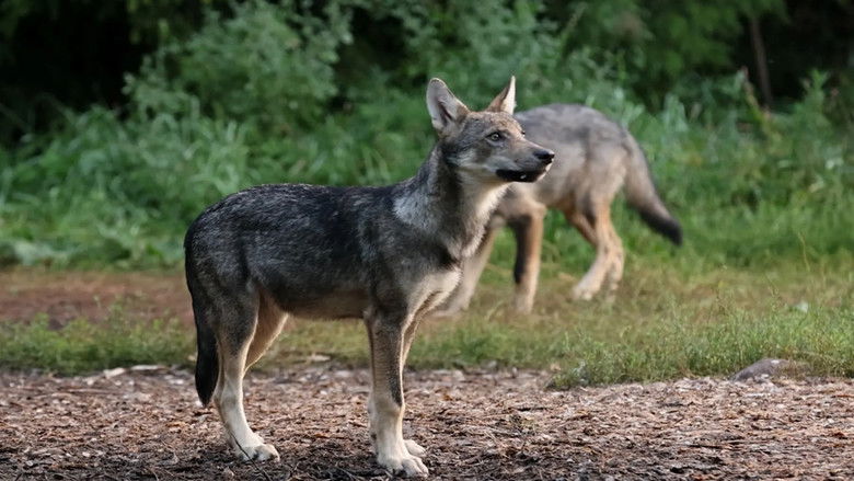 Gallery image from NXN5fr1lgx73SC2r5JBCmGJSsp.jpg