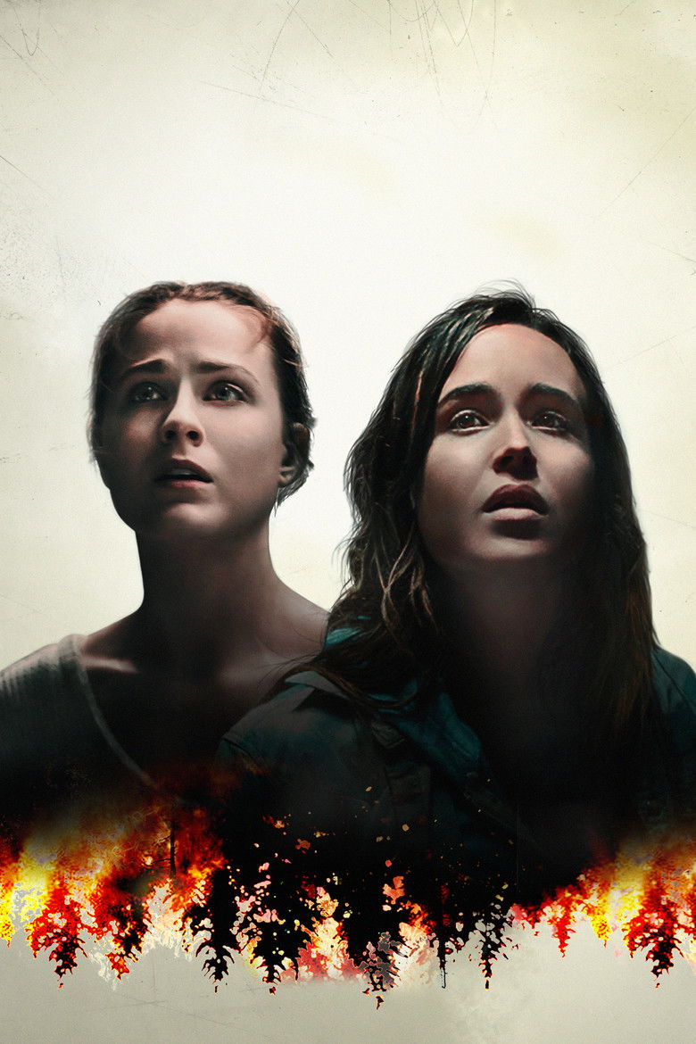 Imatge de Into the Forest