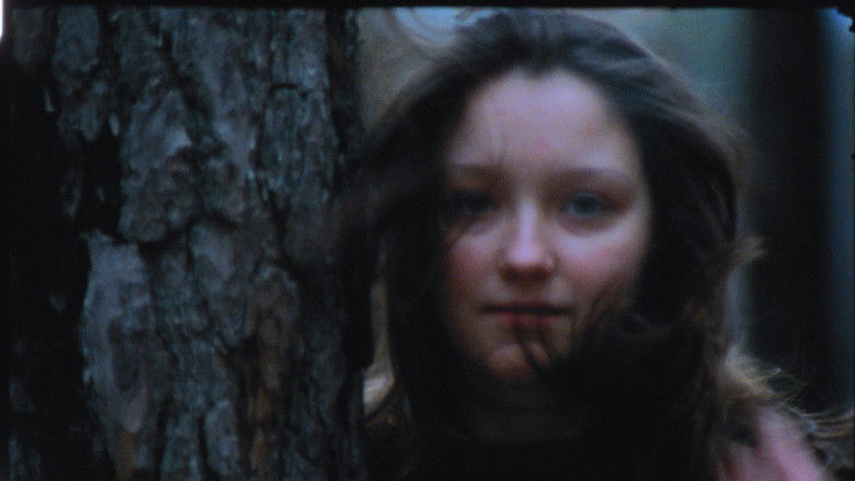 Image d'arrière-plan 2 du film J'ai vu le visage du diable