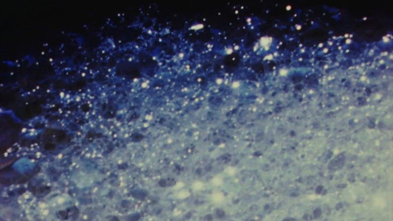 Imatge de Nothing Is Something