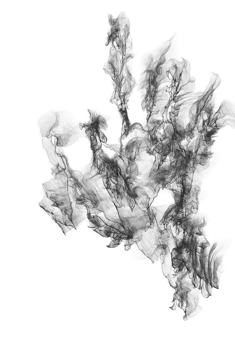 Perennial Stream main poster