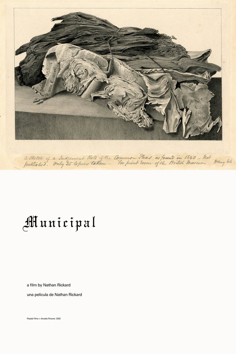 Imatge de Municipal