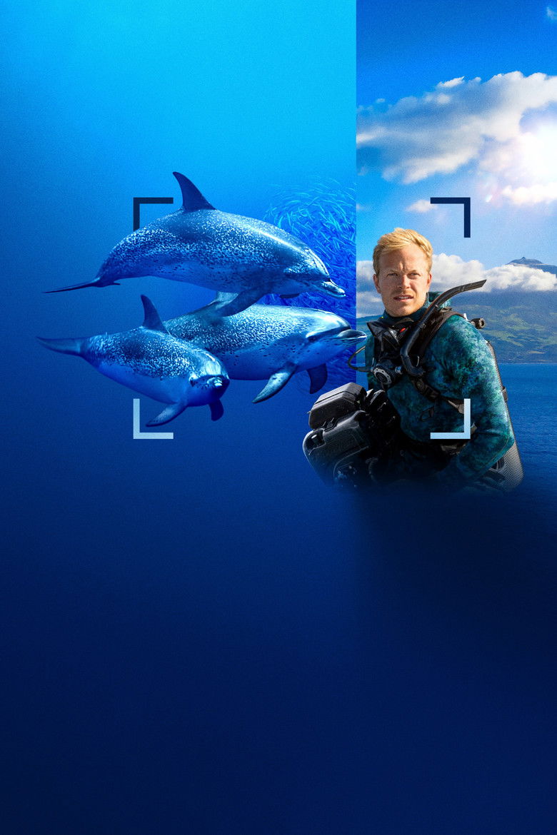 Imatge de Dolphins Up Close with Bertie Gregory