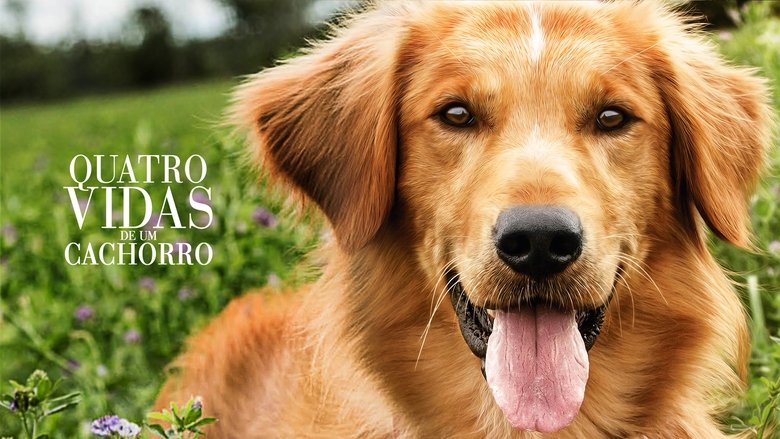 A Dog's Purpose (2017)