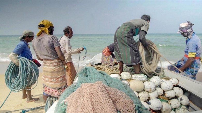 Wem gehört das Meer? Ocean Grabbing - Die neue Meeresordnung movie poster