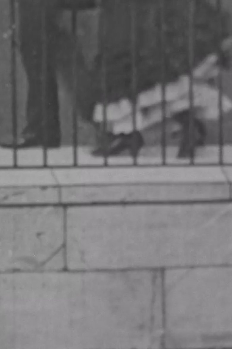 Photograph Taken From An Area Window main poster