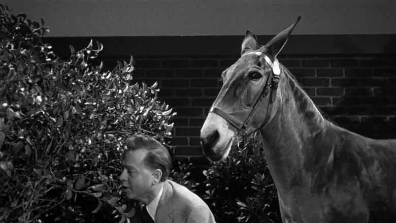 Francis in the Haunted House (1956)