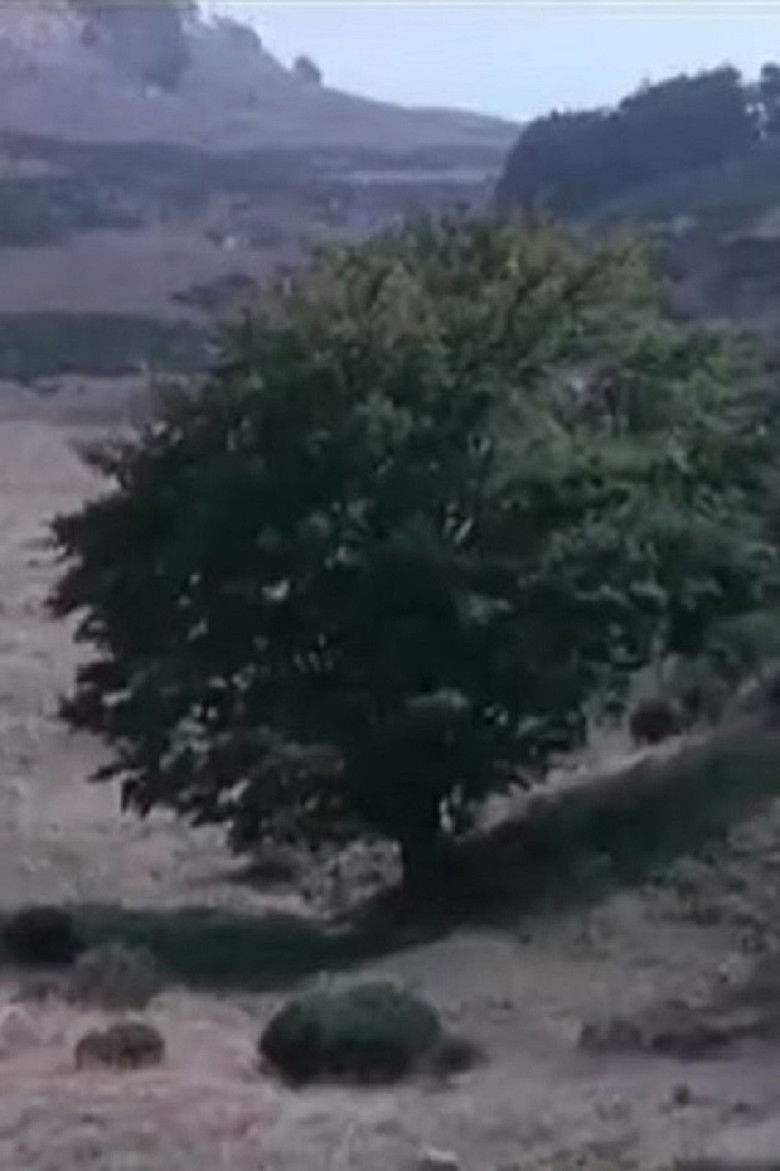 Imatge de Le dormeur