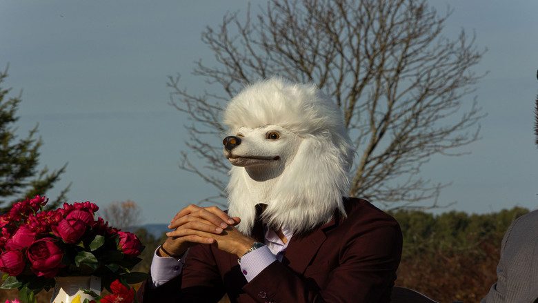 Imatge de The Hiker Hunter